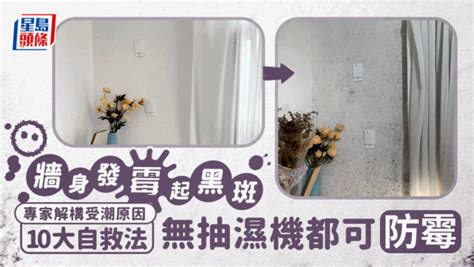 牆身受潮急救法